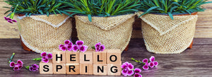   Spring Decor 